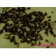 Chrysanthemum coronarium - Seeds